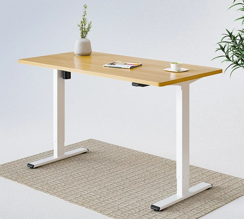 Flexispot EF1 03