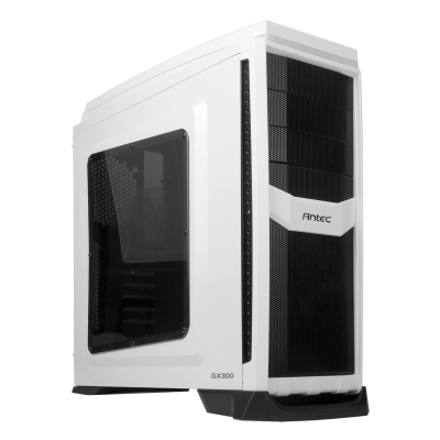 GX300 white side
