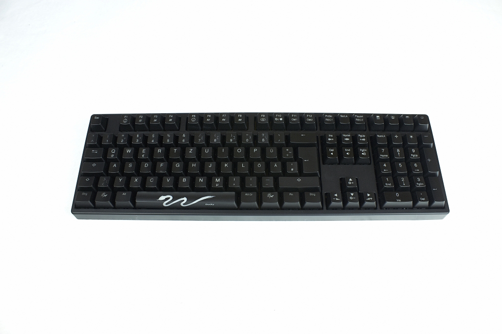Ducky-Shine-10