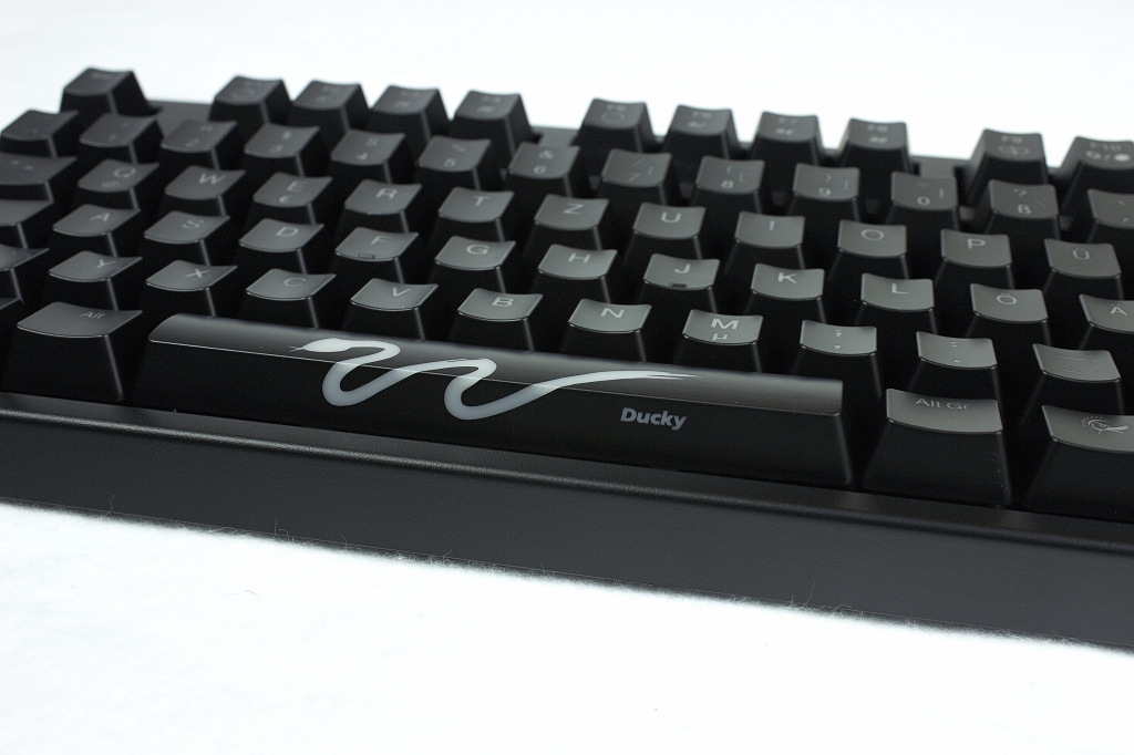 Ducky-Shine-12