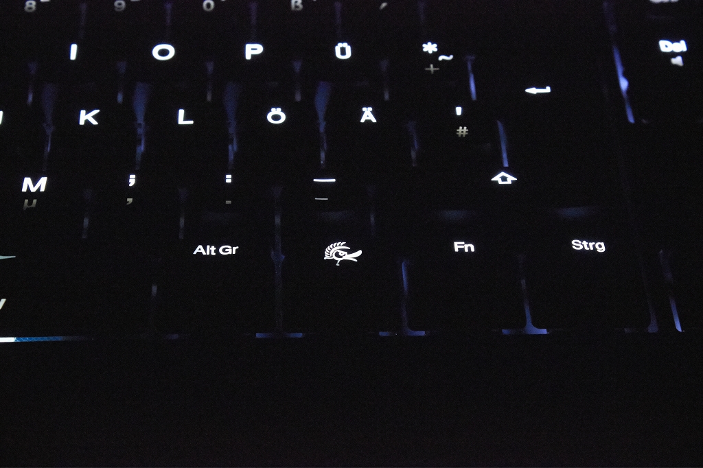 Ducky-Shine-35