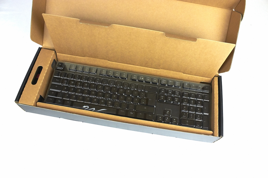 Ducky-Shine-4