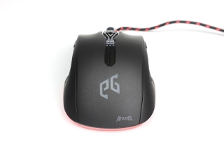 Anura-11