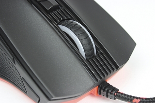Anura-5