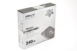 pny-prevail 0359