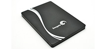 seagate ssd 600 finisher