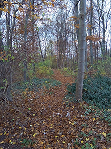 wiku-testfoto-1k
