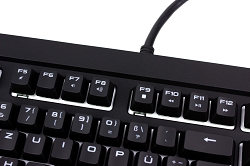 Strafe RGB 17