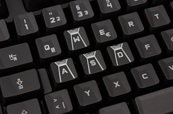 G910 19