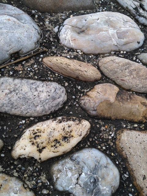 Honor5X Testbild5