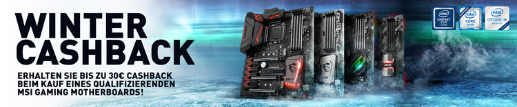 msi winter cashback