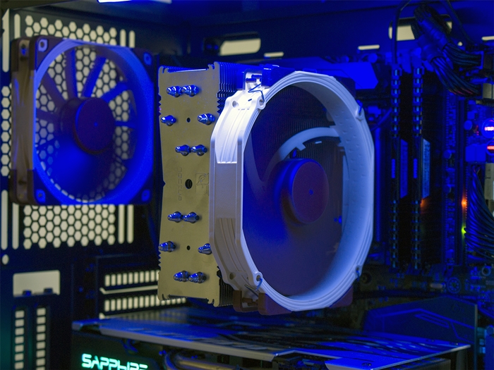 Noctua chromax serie 11