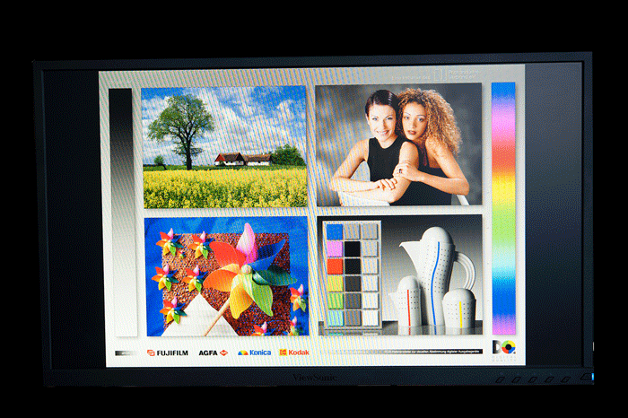 Viewsonic VG2448 Winkel