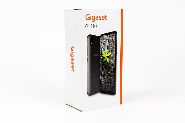 Gigaset GS110 1