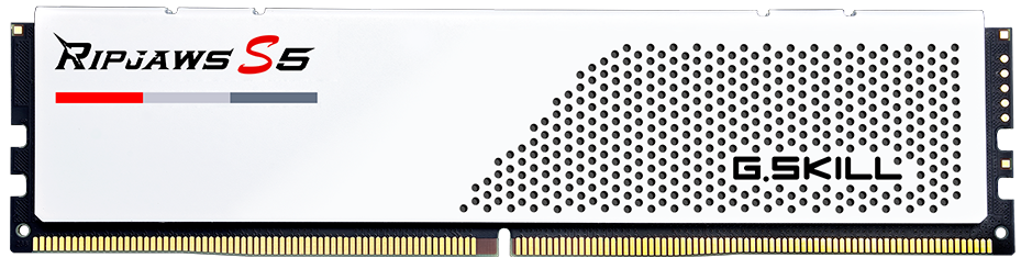 G Skill Ripjaws S5 White DDR5