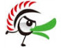logo ducky