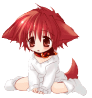 racoon1211s Avatar