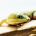 Silvers Avatar