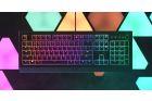 F 140 93 16777215 4814 Razer Cynosa V2 1